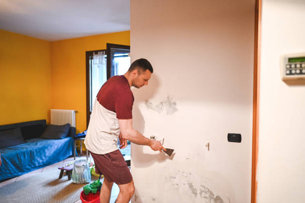 Best Commercial Mold Remediation in Waynesburg, OH